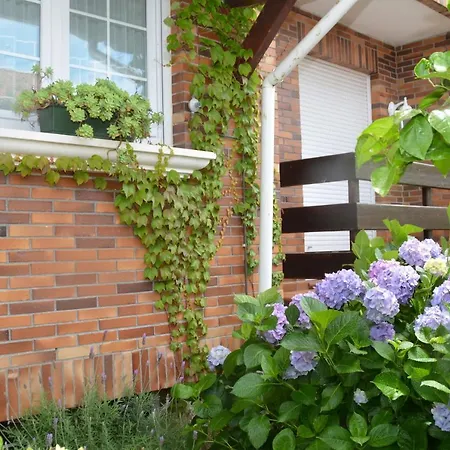 Barrio El Palacio - 9801